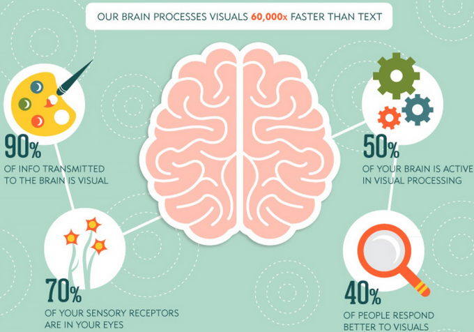 brain-process-visual-faster